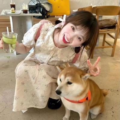 斗气鸳鸯