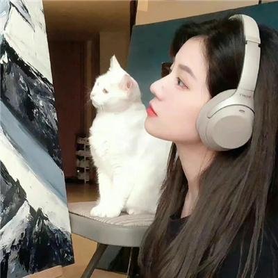 美感游击队